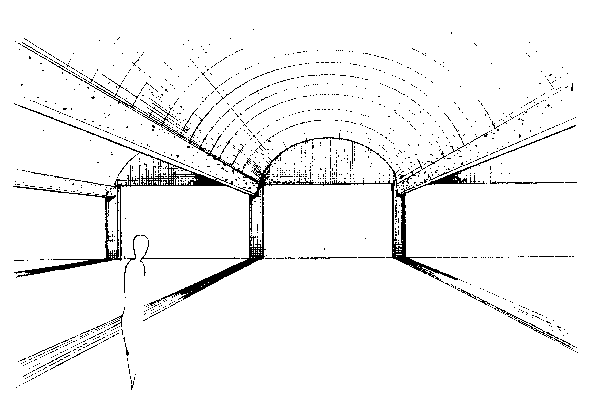 Edge Members